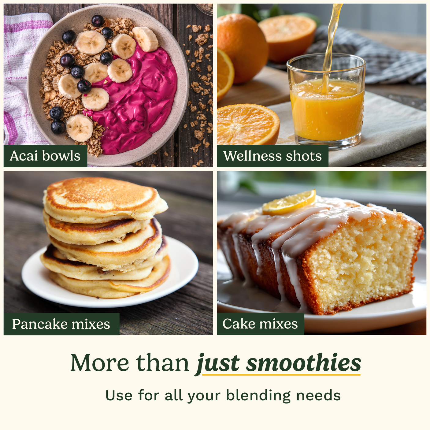 Blast and Go Portable Blender