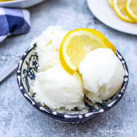 Fresh Lemon Sorbet