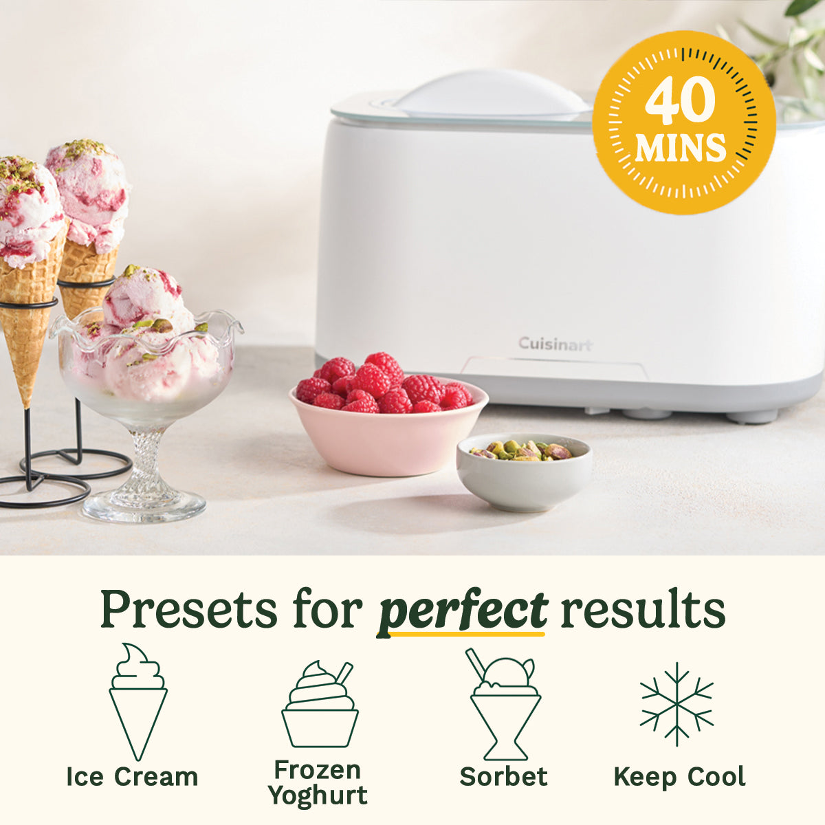 Freeze Ease Ice Cream Maker