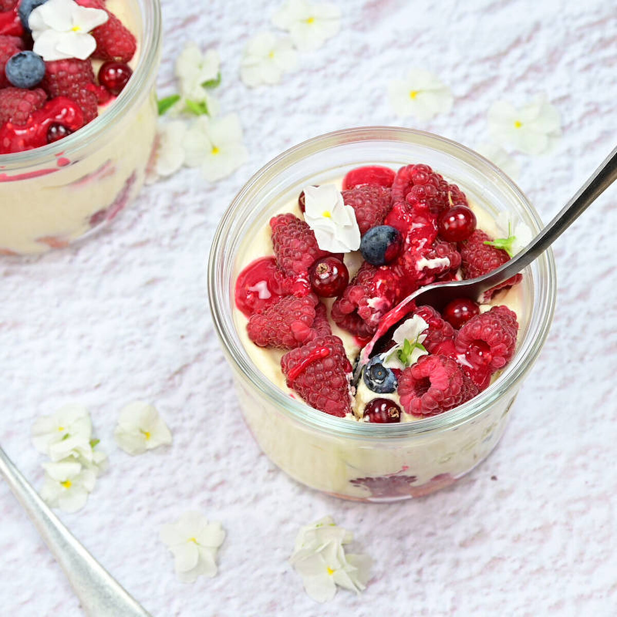 Red Berry Tiramisu